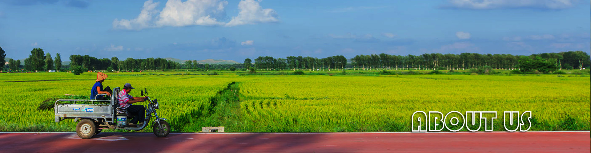 ABOUT US SINOLEADING INTERNATIONAL TRADING LTD SINOLEADING INTERNATIONAL  TRADING LTD